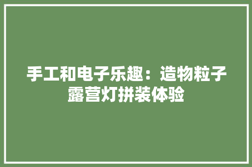 手工和电子乐趣：造物粒子露营灯拼装体验