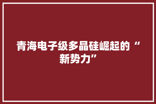 青海电子级多晶硅崛起的“新势力”