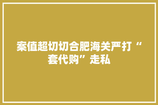 案值超切切合肥海关严打“套代购”走私