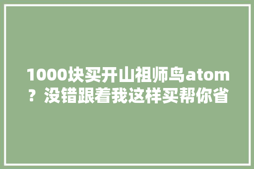 1000块买开山祖师鸟atom？没错跟着我这样买帮你省钱！