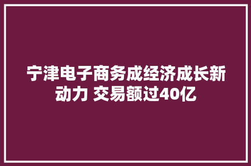 宁津电子商务成经济成长新动力 交易额过40亿