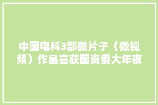 中国电科3部微片子（微视频）作品喜获国资委大年夜奖