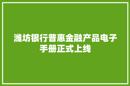 潍坊银行普惠金融产品电子手册正式上线 潍坊银行普惠金融产品电子手册正式上线 人工智能
