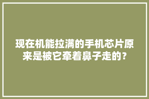 现在机能拉满的手机芯片原来是被它牵着鼻子走的？