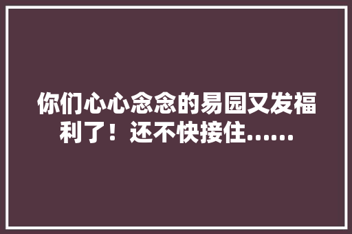 你们心心念念的易园又发福利了！还不快接住……