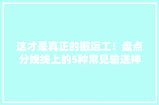 这才是真正的搬运工！盘点分娩线上的5种常见输送神器