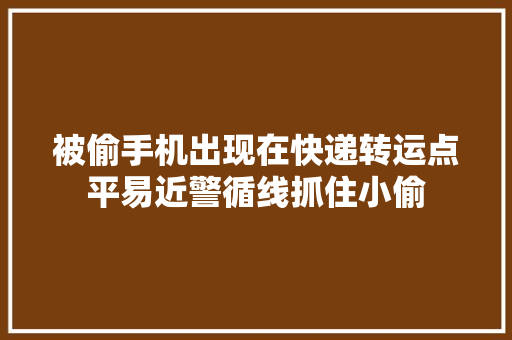 被偷手机出现在快递转运点平易近警循线抓住小偷