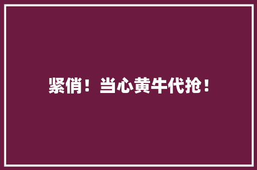 紧俏！当心黄牛代抢！