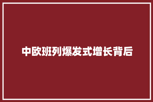 中欧班列爆发式增长背后