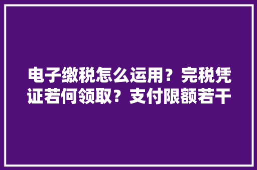电子缴税怎么运用？完税凭证若何领取？支付限额若干？这份问答请收好
