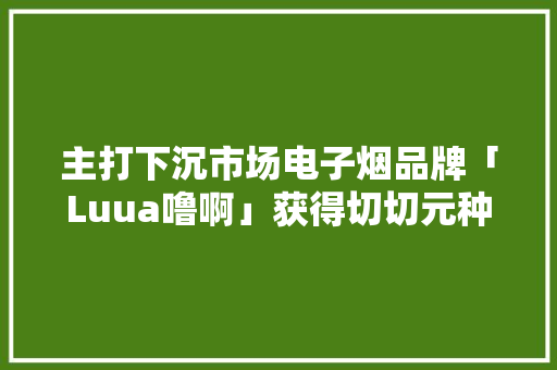 主打下沉市场电子烟品牌「Luua噜啊」获得切切元种子轮融资