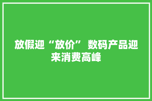 放假迎“放价” 数码产品迎来消费高峰 放假迎“放价” 数码产品迎来消费高峰 智能家居