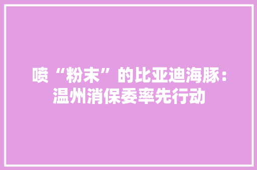 喷“粉末”的比亚迪海豚：温州消保委率先行动
