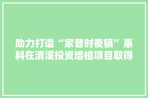 助力打造“家昔时夜镇”惠科在清溪投资培植项目取得实质性进展