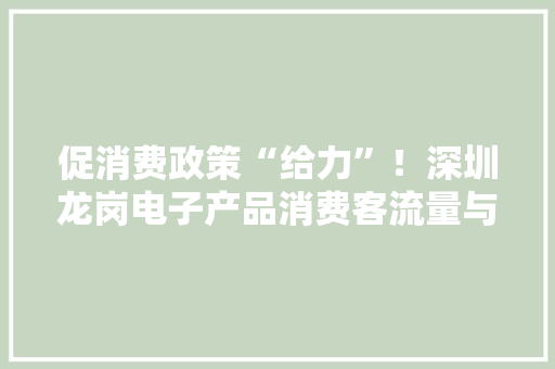 促消费政策“给力”！深圳龙岗电子产品消费客流量与发卖额“双提升”