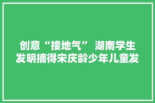 创意“接地气” 湖南学生发明摘得宋庆龄少年儿童发明奖三金