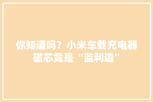 你知道吗？小米车载充电器磁芯竟是“监利造”
