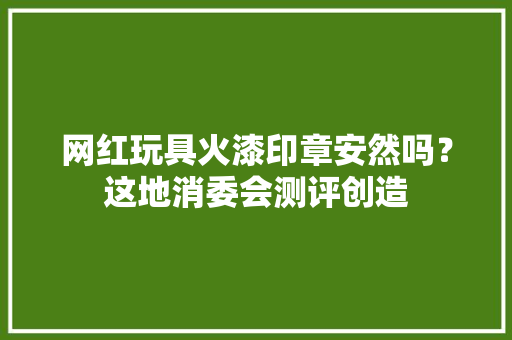 网红玩具火漆印章安然吗？这地消委会测评创造