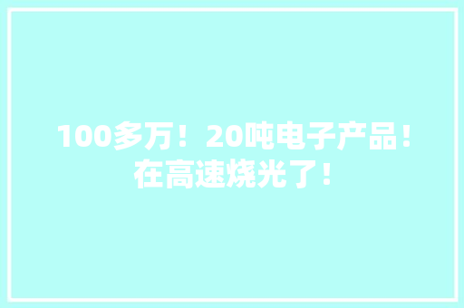 100多万！20吨电子产品！在高速烧光了！