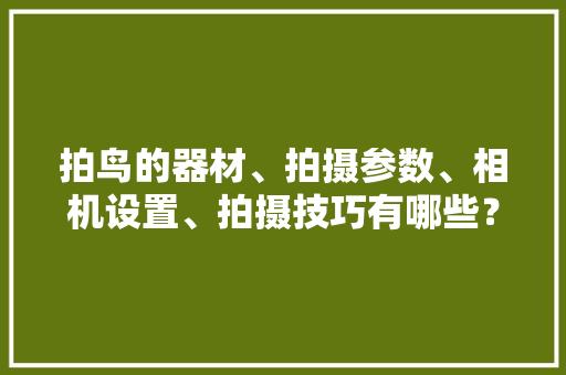 拍鸟的器材、拍摄参数、相机设置、拍摄技巧有哪些？一文完全解读