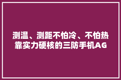 测温、测距不怕冷、不怕热靠实力硬核的三防手机AGM G1 Pro测评 测温、测距不怕冷、不怕热靠实力硬核的三防手机AGM G1 Pro测评 互联通信