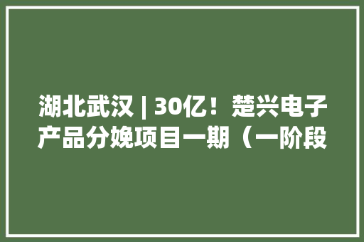 湖北武汉 | 30亿！楚兴电子产品分娩项目一期（一阶段）
