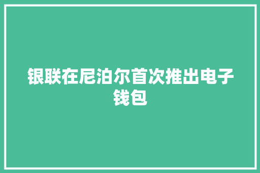银联在尼泊尔首次推出电子钱包 银联在尼泊尔首次推出电子钱包 智能科技