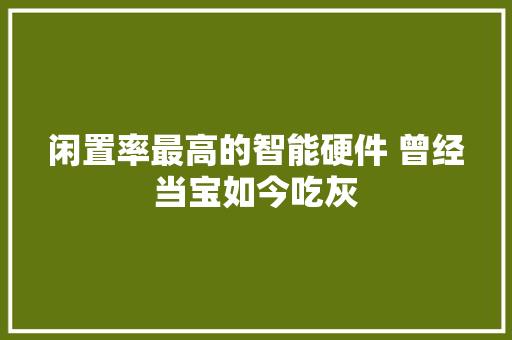 闲置率最高的智能硬件 曾经当宝如今吃灰