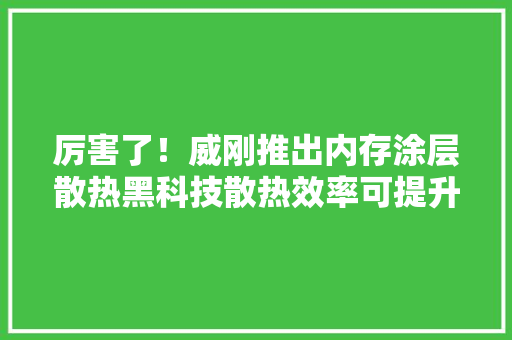 厉害了！威刚推出内存涂层散热黑科技散热效率可提升10% 厉害了！威刚推出内存涂层散热黑科技散热效率可提升10% 智能家居