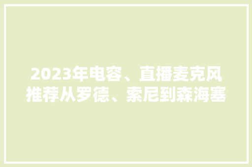 2023年电容、直播麦克风推荐从罗德、索尼到森海塞尔都有