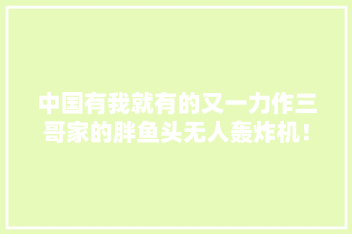 中国有我就有的又一力作三哥家的胖鱼头无人轰炸机！