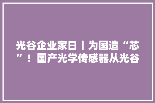 光谷企业家日丨为国造“芯”！国产光学传感器从光谷出发走向世界