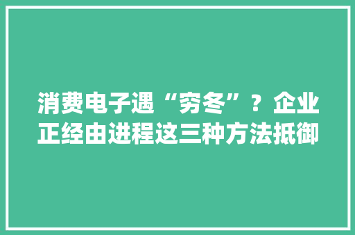 消费电子遇“穷冬”？企业正经由进程这三种方法抵御下滑 | 2022中报盘点⑫