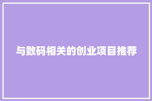 与数码相关的创业项目推荐
