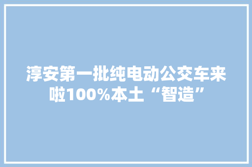 淳安第一批纯电动公交车来啦100%本土“智造”