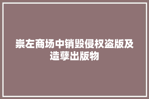 崇左商场中销毁侵权盗版及造孽出版物