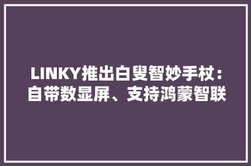 LINKY推出白叟智妙手杖：自带数显屏、支持鸿蒙智联358元