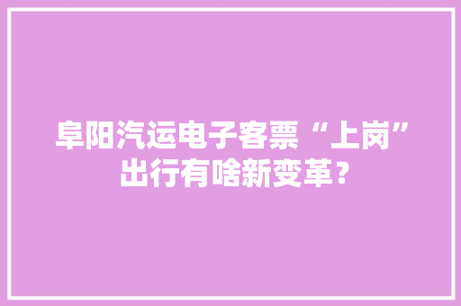 阜阳汽运电子客票“上岗” 出行有啥新变革？ 阜阳汽运电子客票“上岗” 出行有啥新变革？ 智能家居