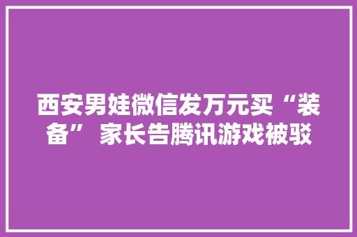 西安男娃微信发万元买“装备” 家长告腾讯游戏被驳回