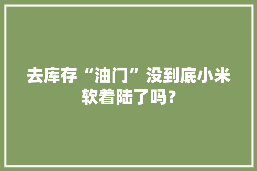 去库存“油门”没到底小米软着陆了吗？ 去库存“油门”没到底小米软着陆了吗？ 智能家居
