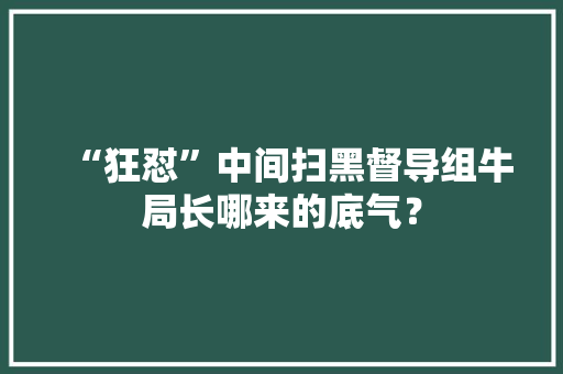 “狂怼”中间扫黑督导组牛局长哪来的底气？ “狂怼”中间扫黑督导组牛局长哪来的底气？ 智能科技