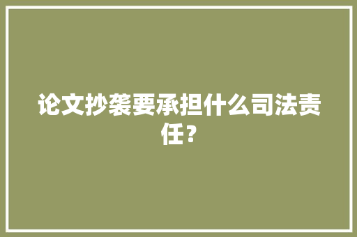 论文抄袭要承担什么司法责任？
