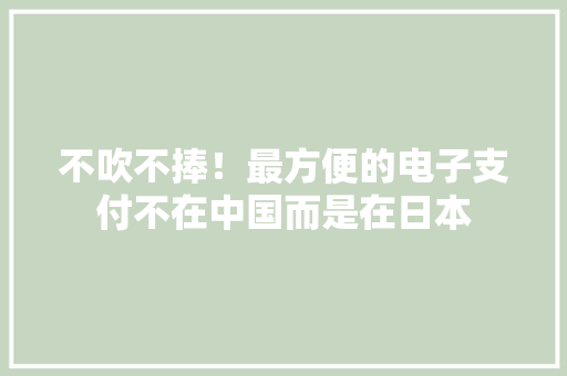 不吹不捧！最方便的电子支付不在中国而是在日本