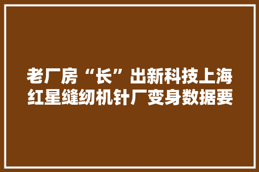 老厂房“长”出新科技上海红星缝纫机针厂变身数据要素家当园