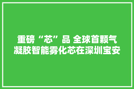 重磅“芯”品 全球首颗气凝胶智能雾化芯在深圳宝安区宣告