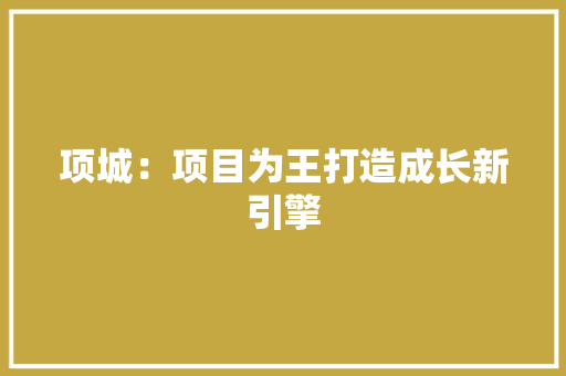 项城：项目为王打造成长新引擎