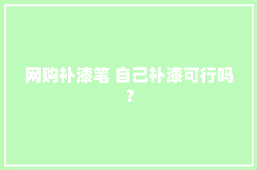 网购补漆笔 自己补漆可行吗？ 网购补漆笔 自己补漆可行吗？ 智能家居