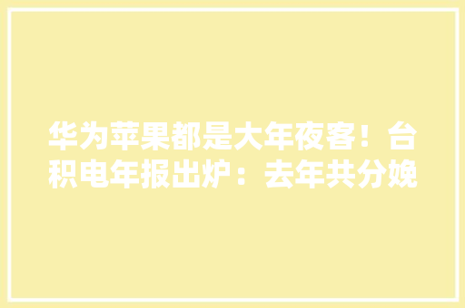 华为苹果都是大年夜客！台积电年报出炉：去年共分娩10761种芯片