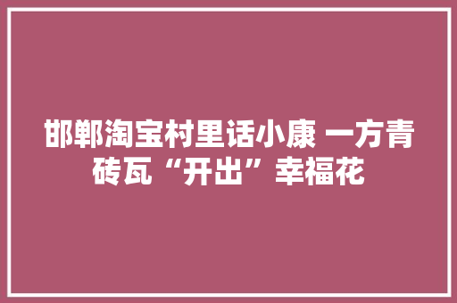 邯郸淘宝村里话小康 一方青砖瓦“开出”幸福花