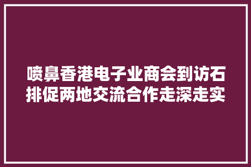 喷鼻香港电子业商会到访石排促两地交流合作走深走实